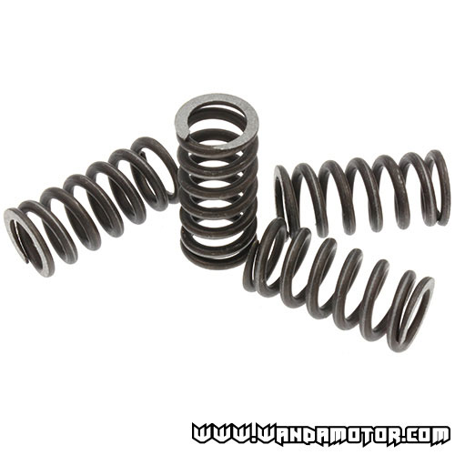 Clutch spring kit Malossi Minarelli AM6